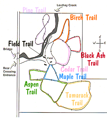 Bear Crossing Ski Trails Map