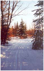 Bear Crossing Cross Country Ski Trails